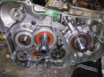 b39d3c91.jpg