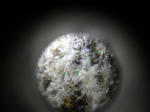 f928b878.jpg