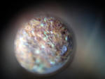 157e2961.jpg