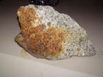 41f306b8.jpg