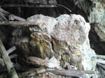 SN3S0307.jpg