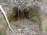 DSC00062.jpg