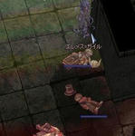 エレメスがいる