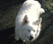 20080228083747.jpg