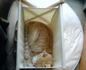 20080314125034.jpg