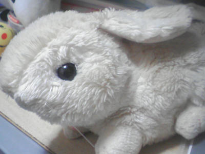 SA3A0001001.jpg