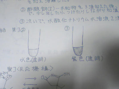 d018396c.JPG