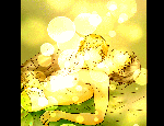 あらしのよるに