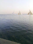 fa2d449f.jpg