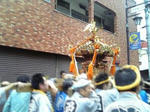 hibi-070924-01.jpg