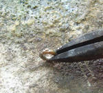 s-P1020660.jpg