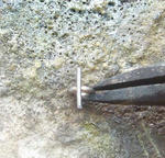 s-P1020667.jpg