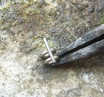 s-P1020670.jpg