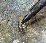 s-P1020708.jpg