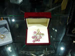 hibi-100310-05.jpg