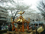 hibi-100404-01.jpg