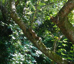 hibi-100722-01.jpg