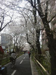 hibi-120414-02.jpg
