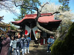 hibi-120415-01.jpg