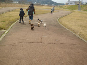 デビュー