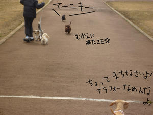 yonnkoma