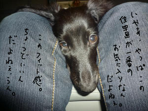 むぎゅ
