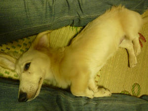抱っこ