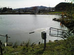 PAP_0004.JPG