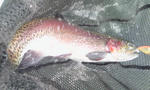 100609_0955_01.jpg