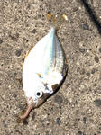 6d2f47b6.JPG