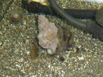img_0303.jpg