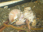 img_0310_2.jpg