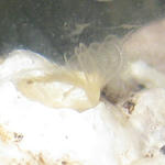 img_0311_4.jpg