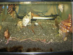 img_0312_2.jpg