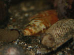 img_0417_2.jpg