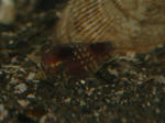 img_0417_4.jpg