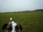 P1010813-2.jpg