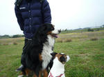 P1010809-2.jpg