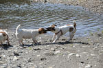 DSC_0076.jpg