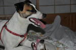 DSC_0112.jpg