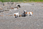 DSC_0123.jpg