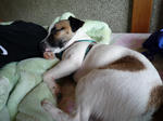 P1020101.jpg
