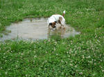 P1020127.jpg