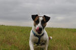 DSC_0015a.jpg