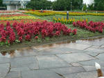 P1020425.jpg