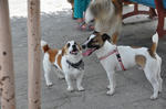 DSC_0024.jpg