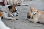 DSC_0027.jpg