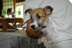 DSC_0072.jpg