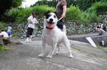 DSC_0121.jpg