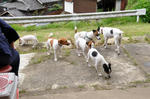DSC_0130.jpg